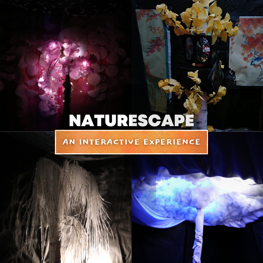 NatureScape Interactive Exhibit