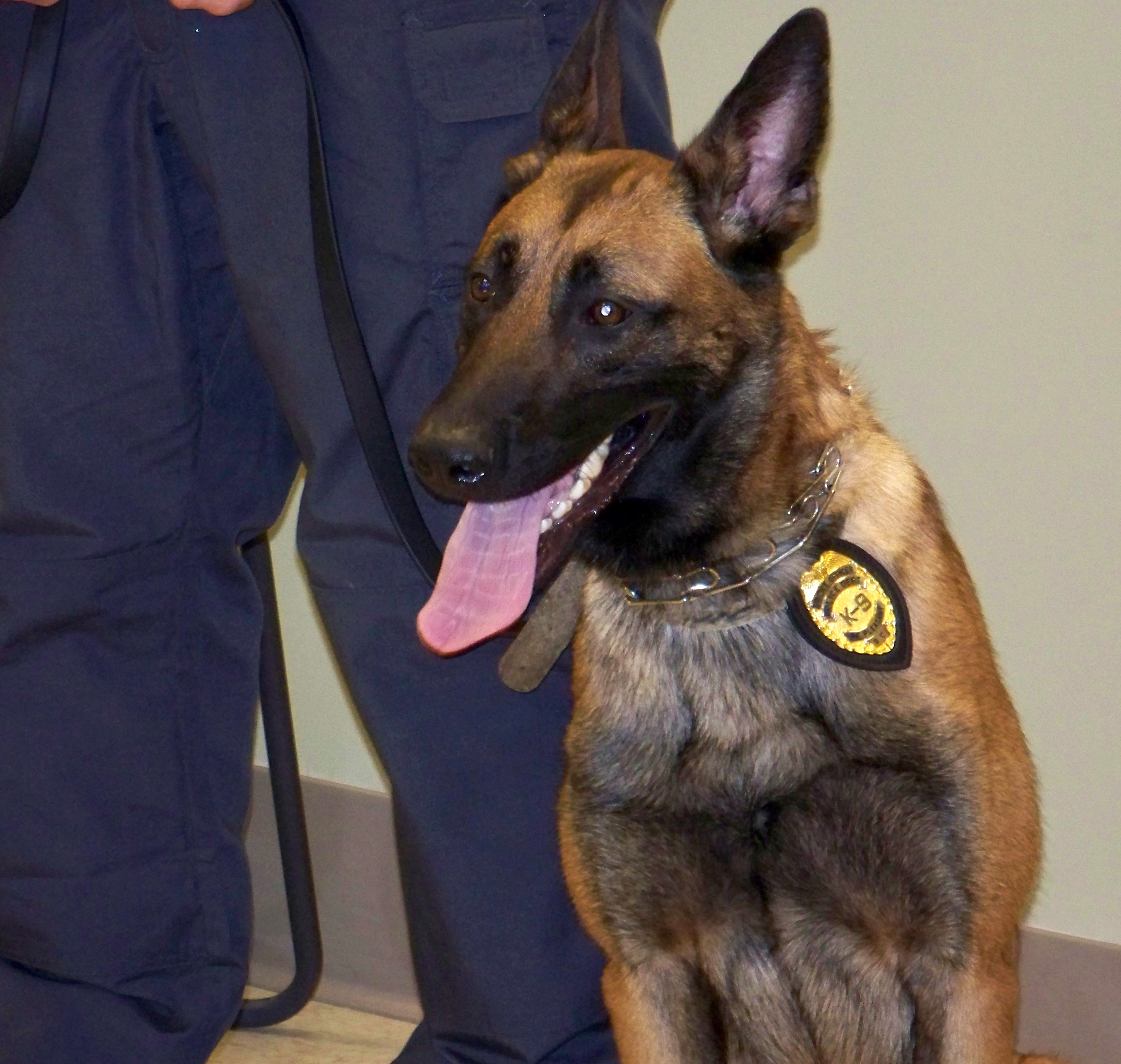 Mt. Pleasant K9 Unit | Charleston County Public Library