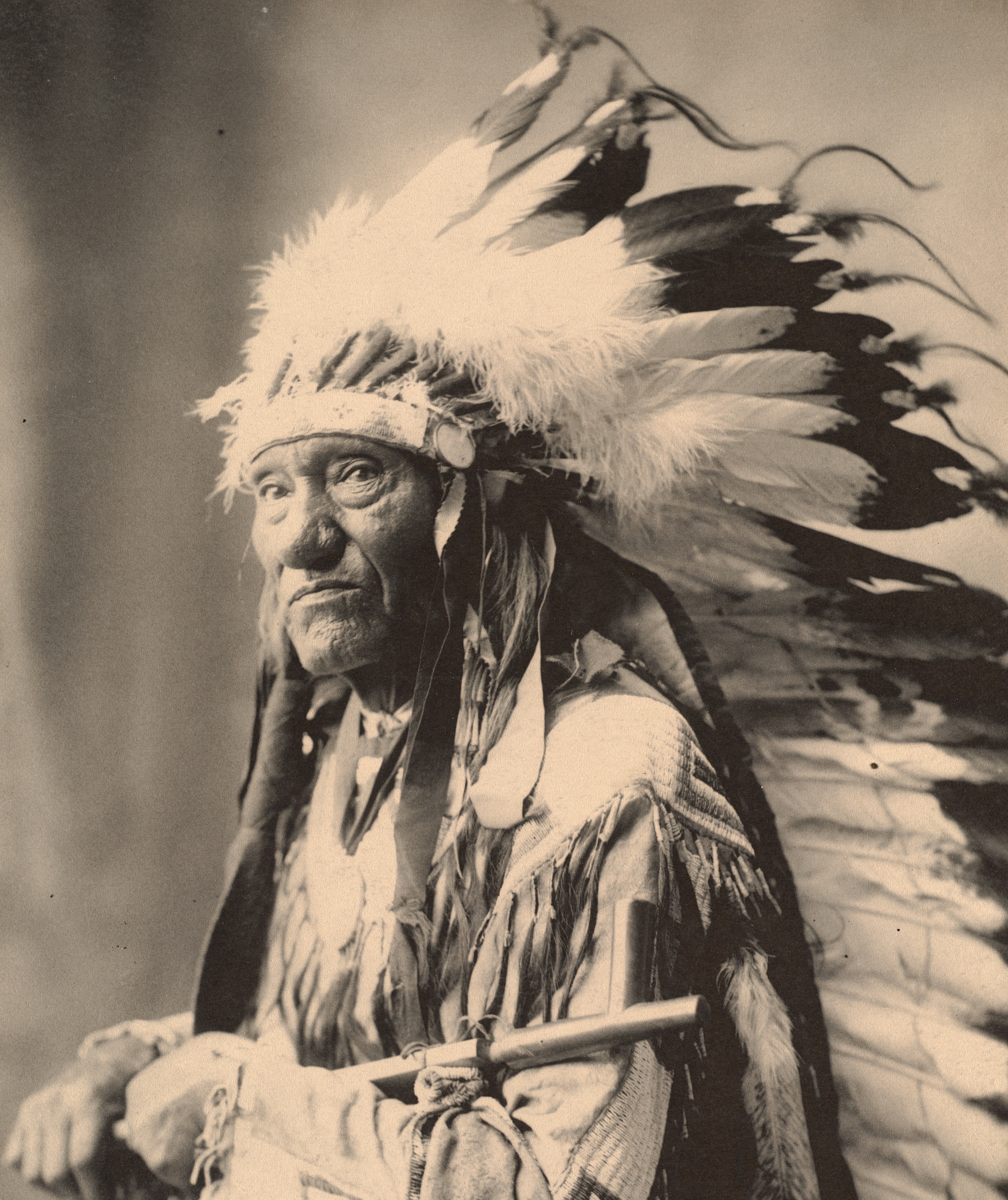 native american indian beard