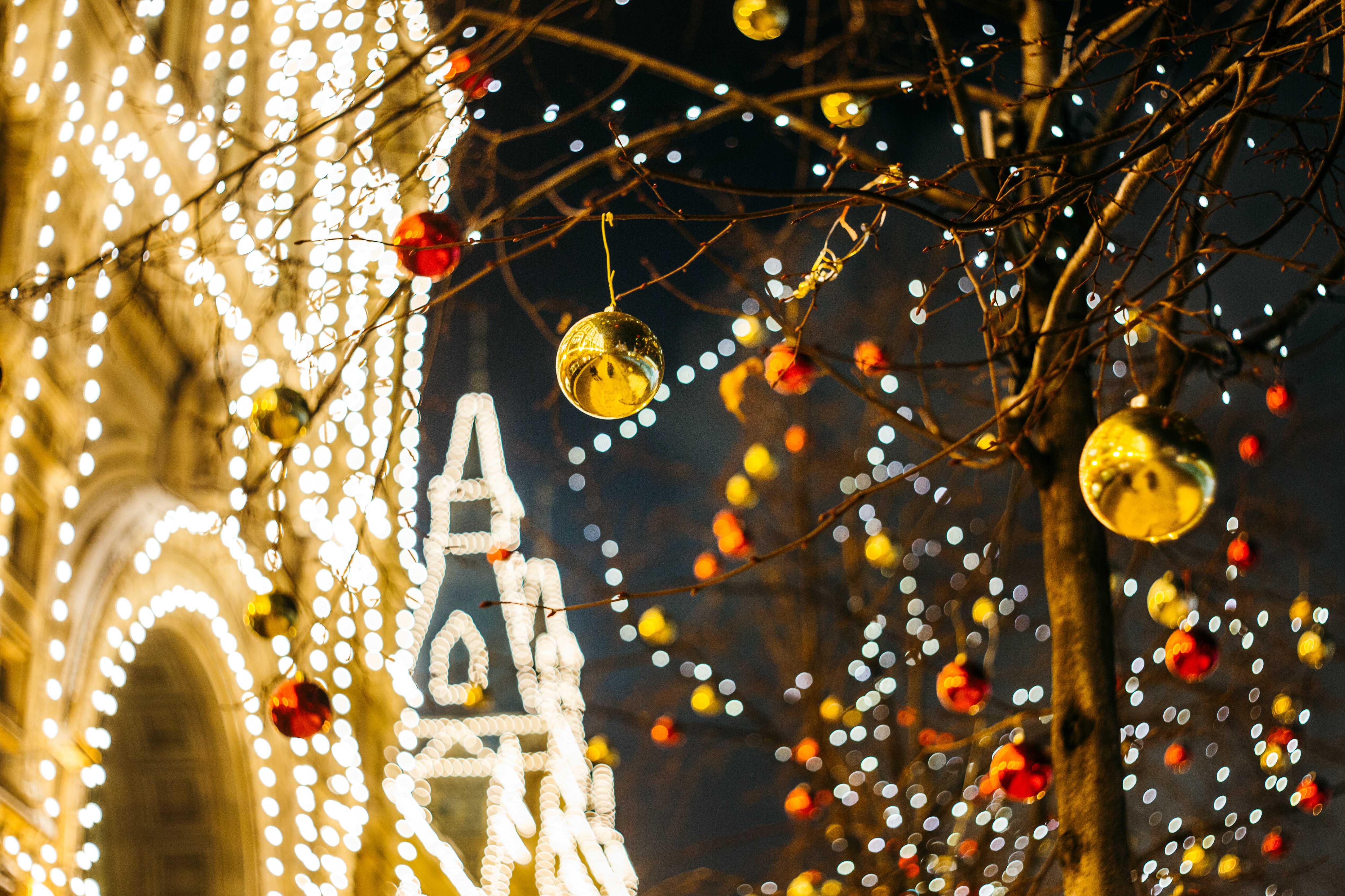 13 Perfect Christmas Read Along Books To Get Your Family In The Holiday Spirit Charleston County Public Library